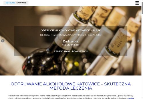 odtruwaniekatowice.pl