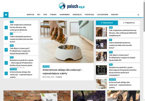 paluch.org.pl
