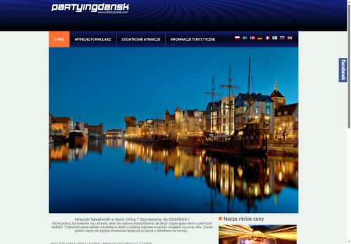 partyingdansk.com