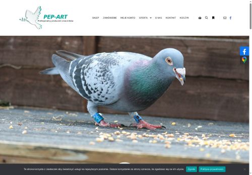 pep-art.pl