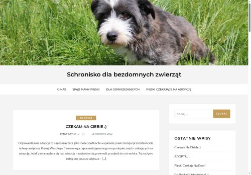 pieski.nowytarg.pl