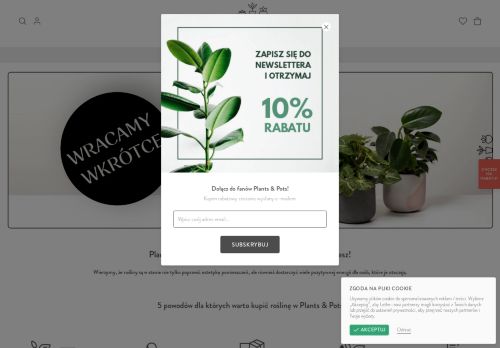plantsandpots.com