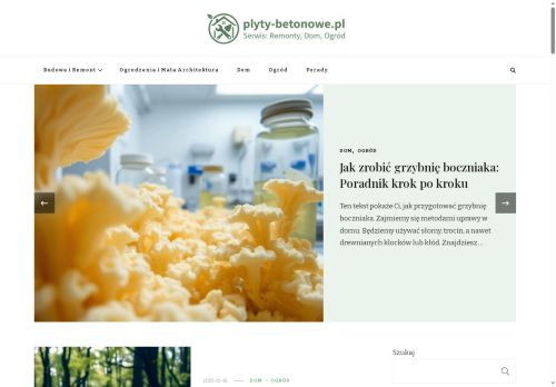 plyty-betonowe.pl