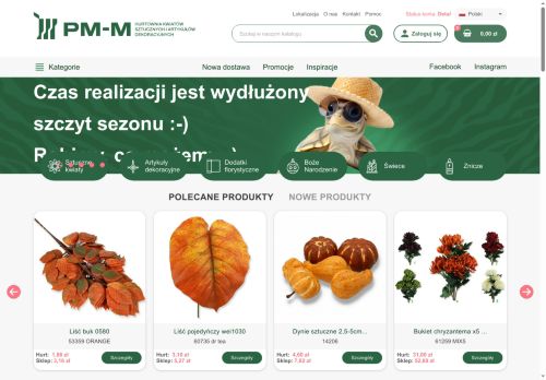 pm-m.pl