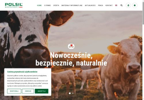 polsil.pl