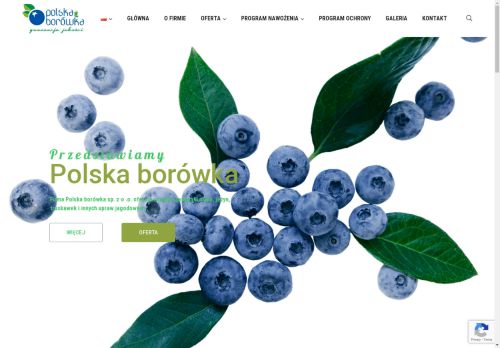 polskaborowka.eu