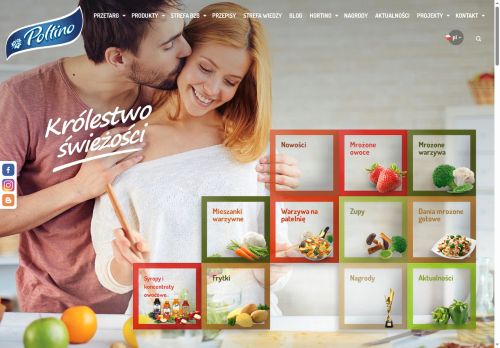poltino.pl