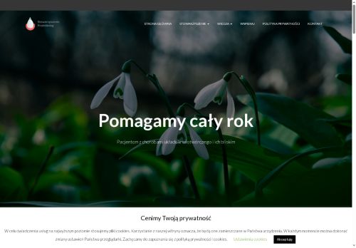 przebisnieg.org