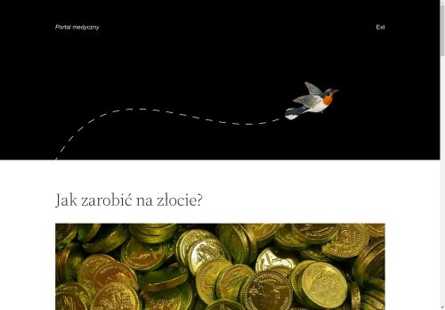 pz.zgora.pl