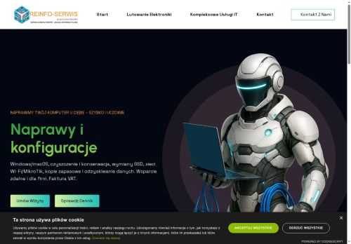 reinfo-serwis.pl