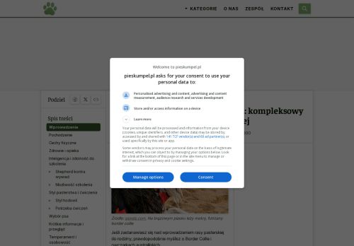 rogonia-bordercollie.pl