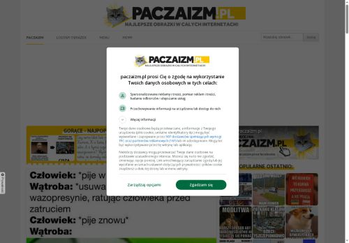 ryjbuk.pl