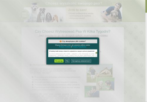sam-wytresuj-psa.pl