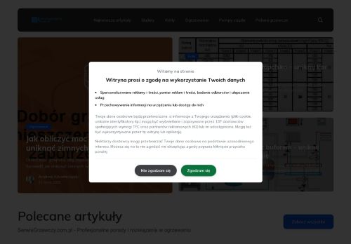 serwisgrzewczy.com.pl