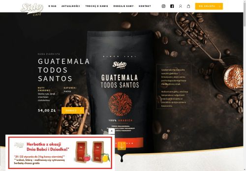 sido.com.pl