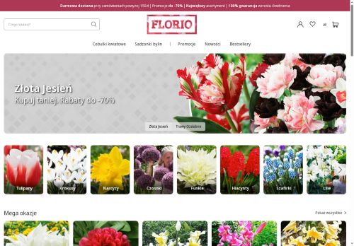 sklep.cebulekwiatowe.pl