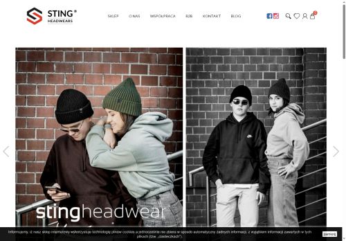 sting.com.pl
