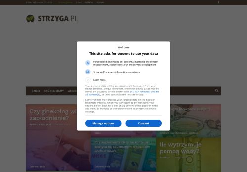 strzyga.pl