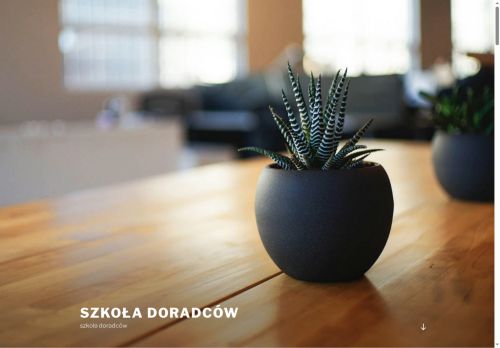 szkoladoradcow.pl