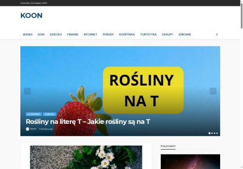 tapicer-lublin.koon.pl