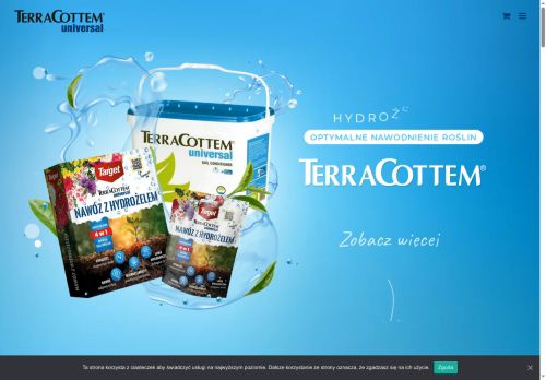terracottem.pl