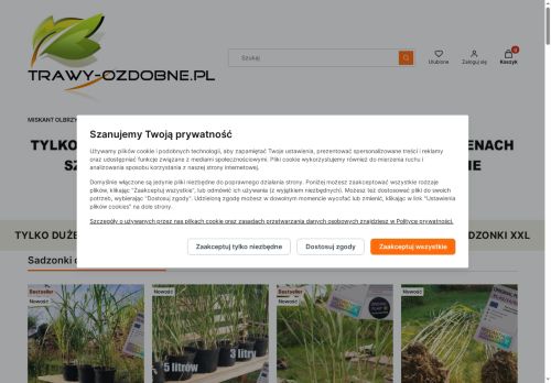 Szkółka traw ozdobnych