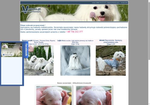 verdano.pl