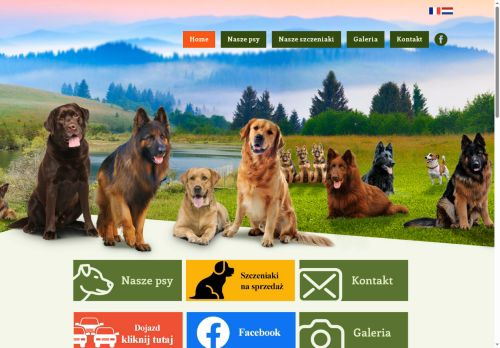 victorius.com.pl