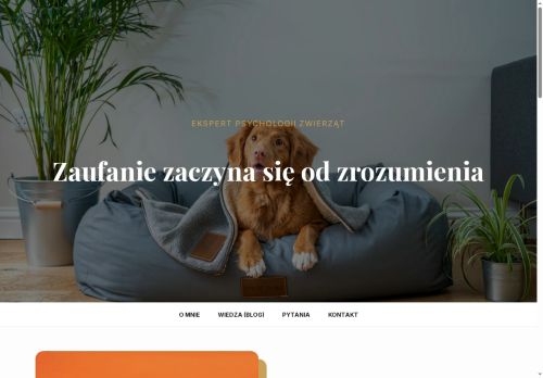 Wibrysy u nas znajdziesz swój prezent