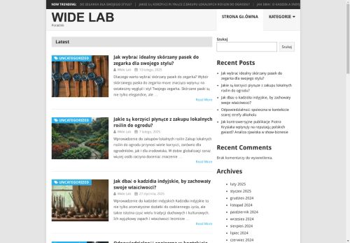 widelab.pl