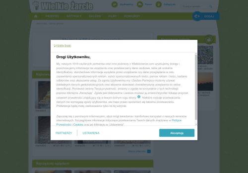 wielkiezarcie.com