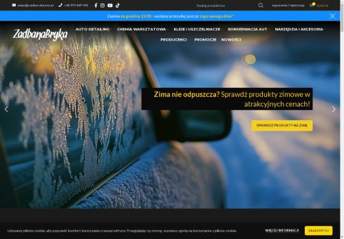 zadbanabryka.pl