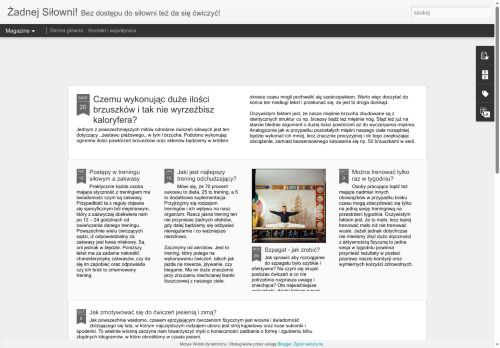 zadnejsilowni.blogspot.com