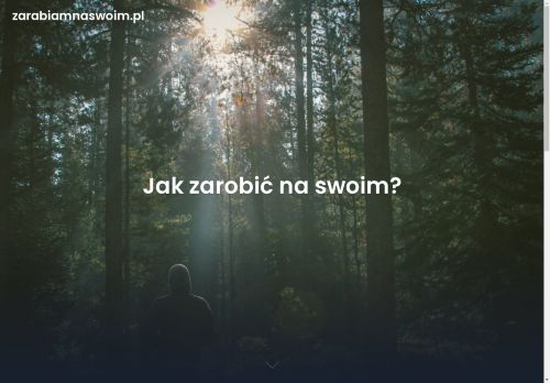 zarabiamnaswoim.pl